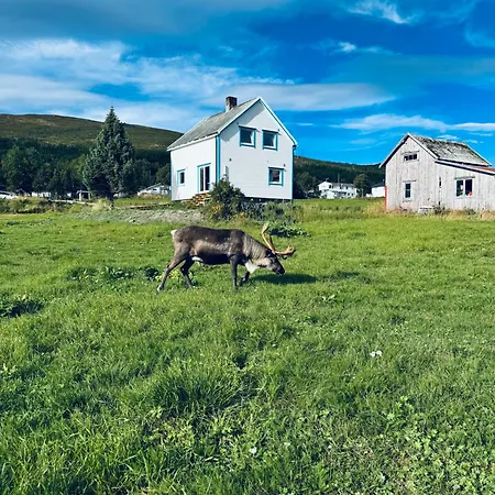 And Rural House With Beautiful View Willa Tromsø