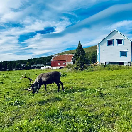 فيلة And Rural House With Beautiful View